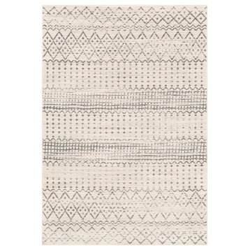 Helios Gray and White Area Rug 6'7"x9'