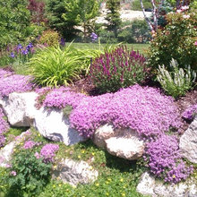 Landscape and Exterior