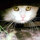 Bonnie Walker's photo