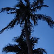 Leslie Hope's photo