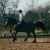 Foto von Jaclyn Picard