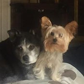 Patti LeMaster's photo