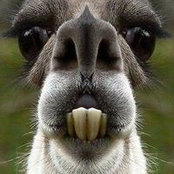 Mike Copernic's photo