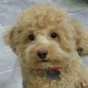 Alan Chuah's photo