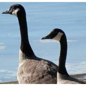 Sharon Larrimore's photo