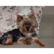 Carol Farley's photo