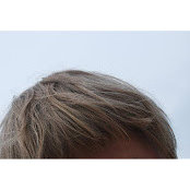 Dianna Mertz's photo