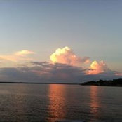 Ron Craft's photo