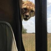 Pam Luper's photo