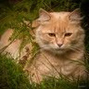 Janna's photo