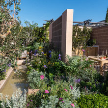 7 Trends from the RHS Chelsea Flower Show 2023