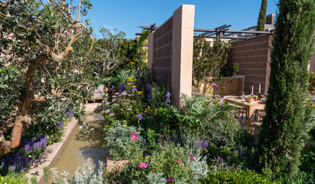 7 Trends from the RHS Chelsea Flower Show 2023