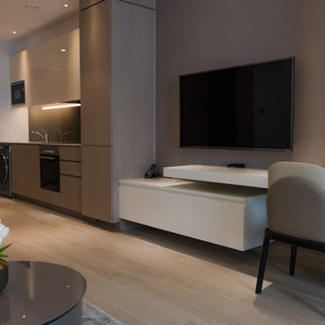 Modern Rental Studio Apartment