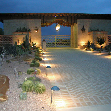 Miscellaneous Cacti & Succulent Landscapes by Rhinamic