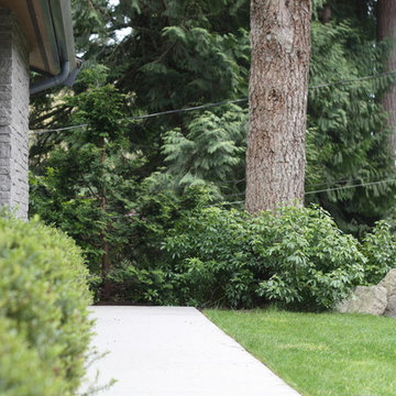 Willowcreek Garden