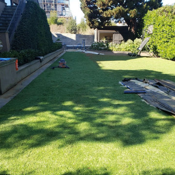 San Francisco Basketball Court Foundation — Lombard St