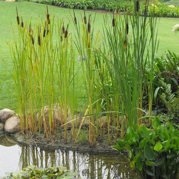Water Gardens
