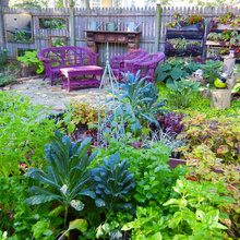 beautiful gardens