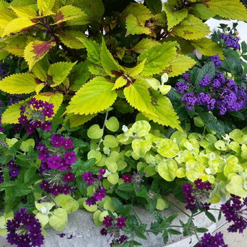 Container Gardens