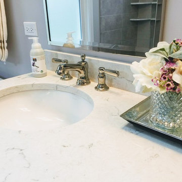 Traditional Contemporary Bathroom in Elmhurst, IL