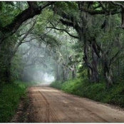 Irma Decker's photo