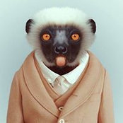 Markus S's photo