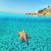 Natalie Stute's photo
