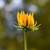 Patricia Mastry's photo