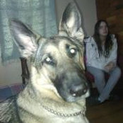 Ann Curry's photo