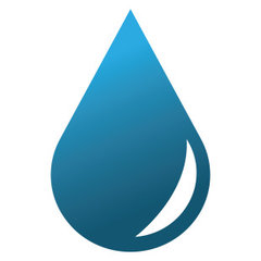 The Bath Authority
