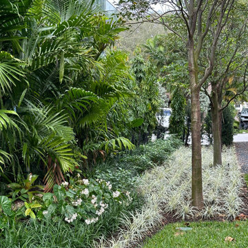 Modern Tropical Landscape South Florida