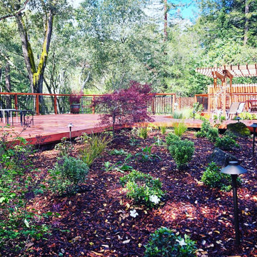 Orinda Oak Forest Landscape and Lighting