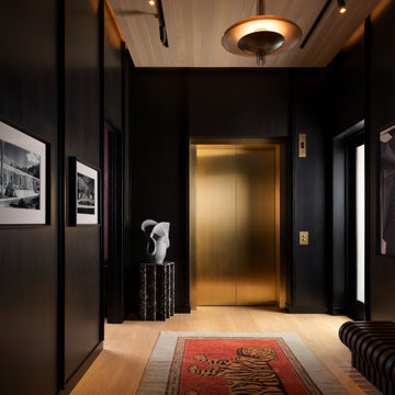 Saint Cecilia Entry with Apparatus Studio Chandelier