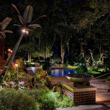 Backyard Oasis