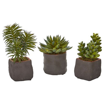 Mixed Succulent Trio Artificial Plant, 3-Piece Set