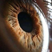 David Derouin's photo