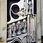 Dougal McGhee's photo
