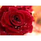 Adeena Naeem's photo