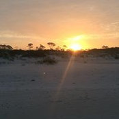 Lisa York's photo