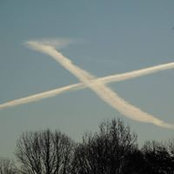 Cathy Petty's photo