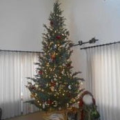 Jennifer Poelma's photo