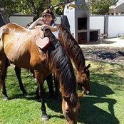 Inelia van der Merwe's photo