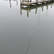 Loren Hall's photo