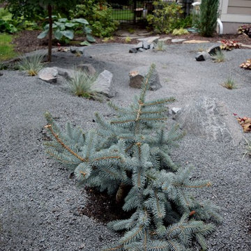 The Rock'in Rain Garden