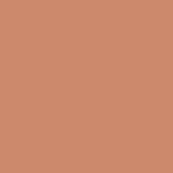 Subdued Sienna - Paint