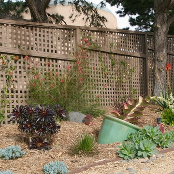 Del Mar Sculptural Gem