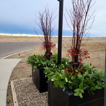 Desert Blume Seasonal Planters and Entry Feature