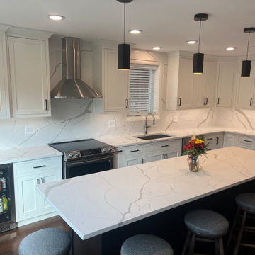 Chicago Kitchen/Dining Renovation