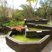 Huerto-jardín
