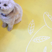 Floor Treatments